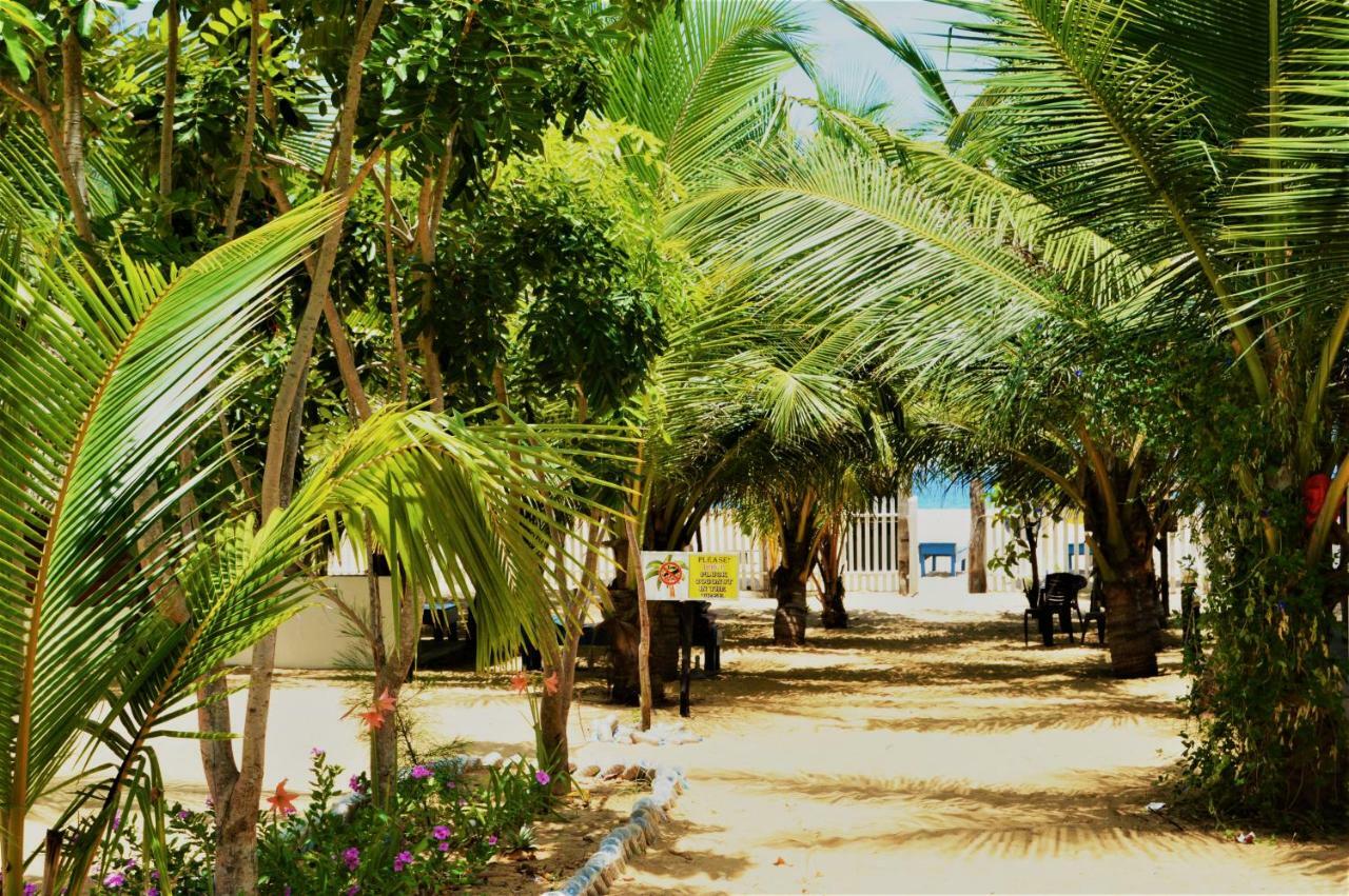 Shim Beach Resort 아루감 베이 외부 사진